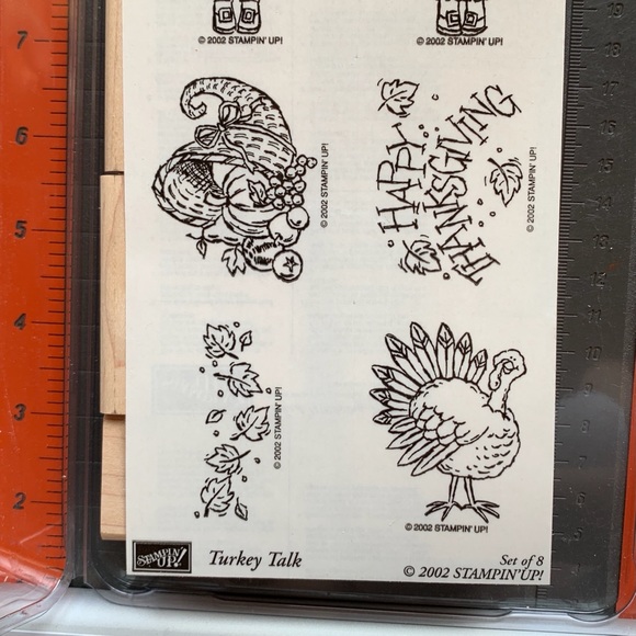 Stampin’ Up! TURKEY TALK - Picture 5 of 6